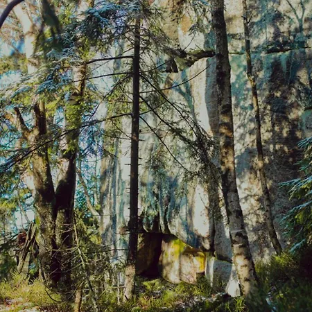 Feriehus Wataha Pod Basztami - Alfa - Caloroczne Radkow