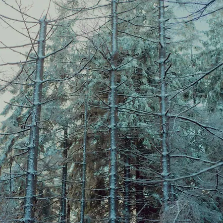 Wataha Pod Basztami - Alfa - Caloroczne Feriehus