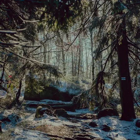 Wataha Pod Basztami - Alfa - Caloroczne Feriehus