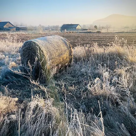 Hébergement de vacances Wataha Pod Basztami - Alfa - Caloroczne *
