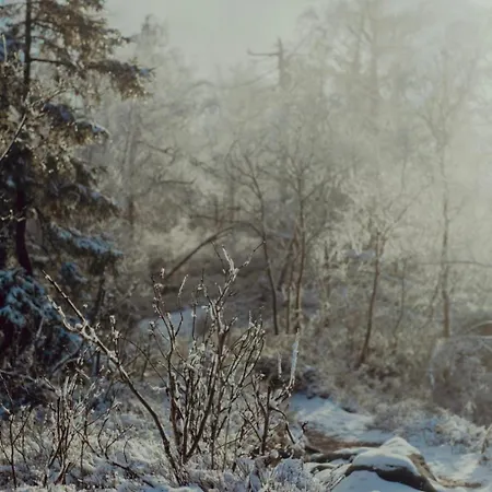 Hébergement de vacances Wataha Pod Basztami - Alfa - Caloroczne