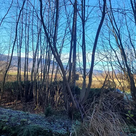 Wataha Pod Basztami - Alfa - Caloroczne Feriehus Radkow