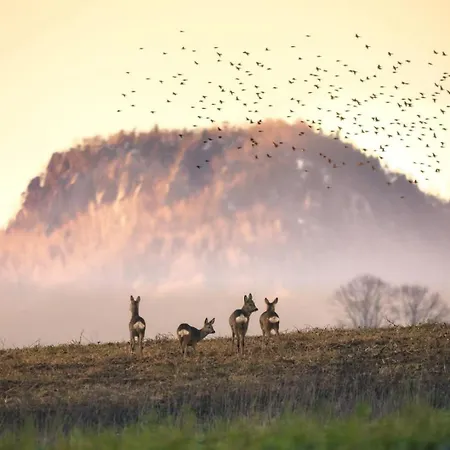 Wataha Pod Basztami - Alfa - Caloroczne * Radkow