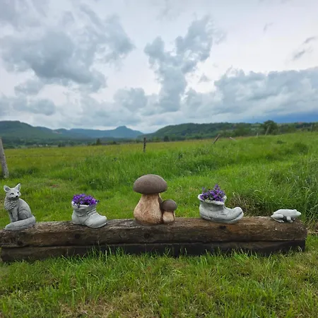 Wataha Pod Basztami - Alfa - Caloroczne * Радкув