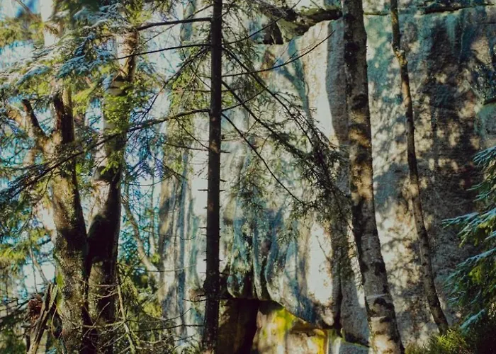 Holiday home Wataha Pod Basztami - Alfa - Caloroczne Radkow