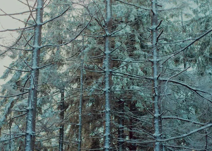 Wataha Pod Basztami - Alfa - Caloroczne Holiday home