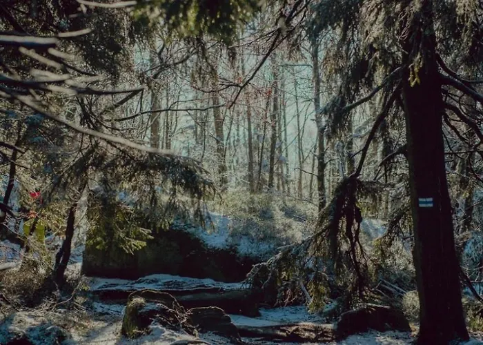 Wataha Pod Basztami - Alfa - Caloroczne Holiday home