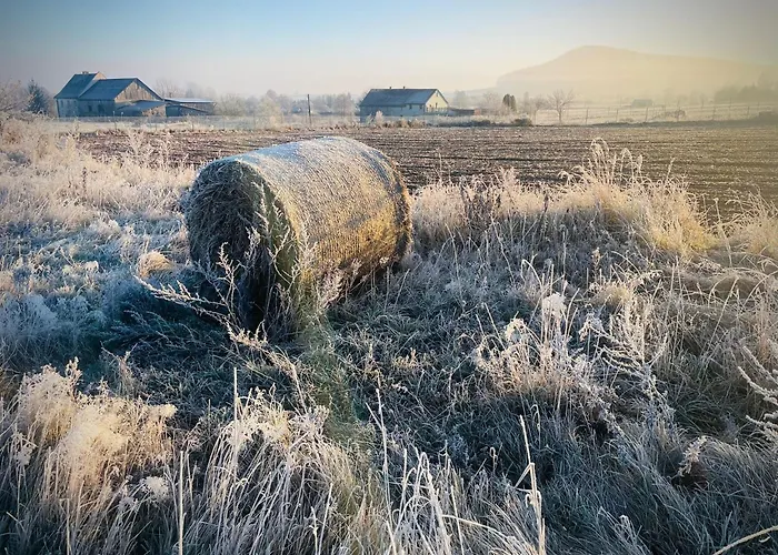 Holiday home Wataha Pod Basztami - Alfa - Caloroczne *