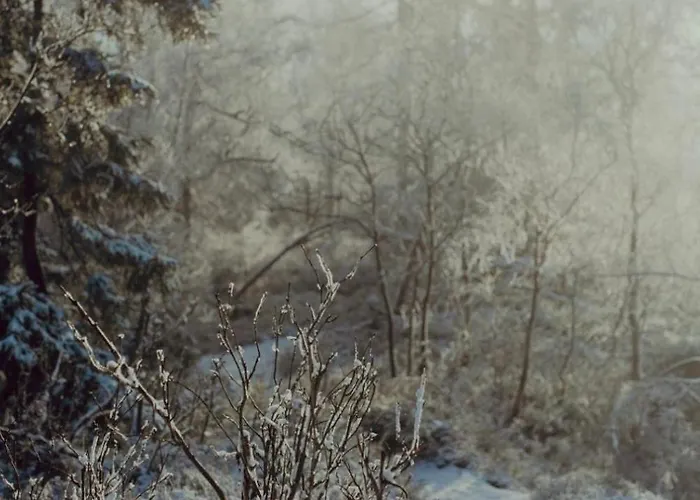 Holiday home Wataha Pod Basztami - Alfa - Caloroczne