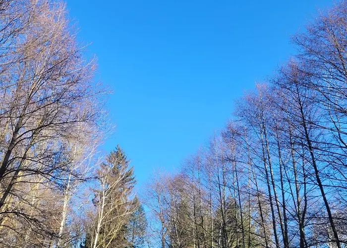 Wataha Pod Basztami - Alfa - Caloroczne *