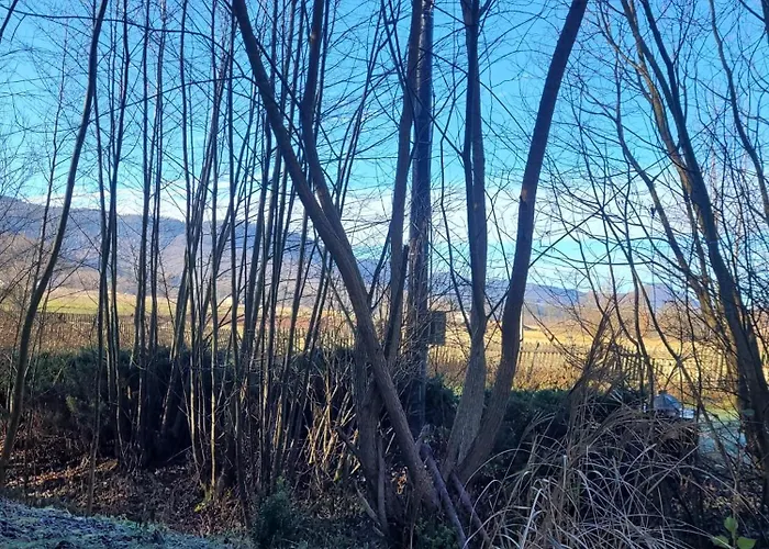 Wataha Pod Basztami - Alfa - Caloroczne Holiday home Radkow