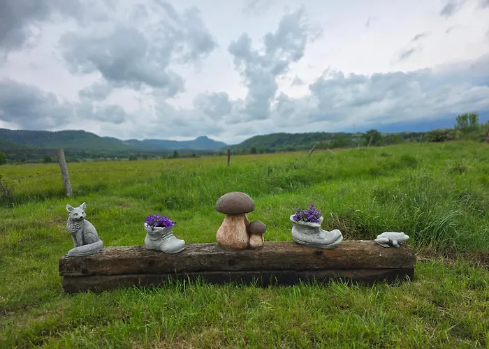 Wataha Pod Basztami - Alfa - Caloroczne * Radkow