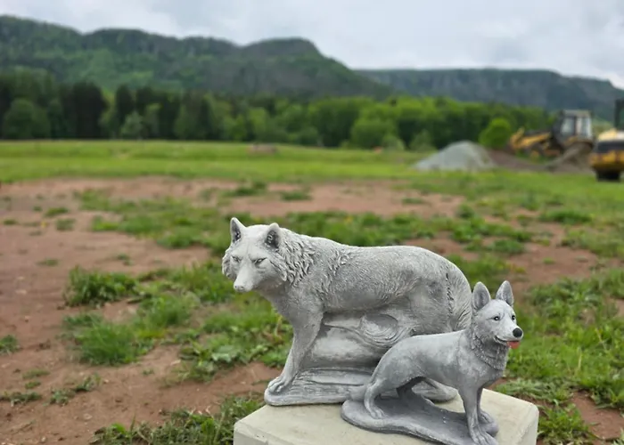 Дом отдыха Wataha Pod Basztami - Alfa - Caloroczne